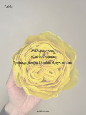 Майстер-клас «Свічки квіти. Троянда Девіда Остіна» PNS14 фото