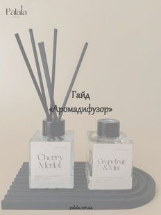 Гайд &laquo;Аромадифузор&raquo; PNA03 фото