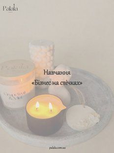Обучение &laquo;Бизнес на свечах&raquo; PNS08_1 фото