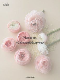 Навчання &laquo;Свічковий флорист&raquo; PNS36 фото
